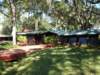 ahouseamongthetrees_small.jpg