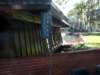 viewtothepool_small.jpg