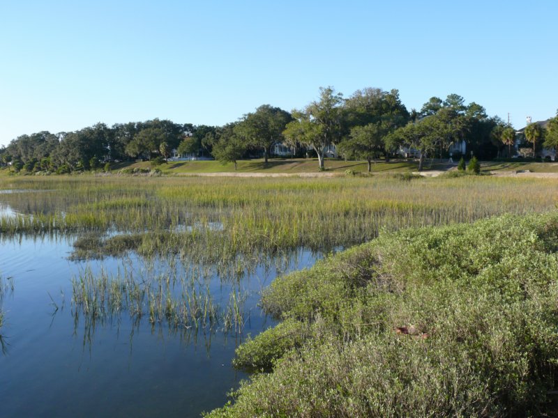 beauforthomesoverlookingthebay.jpg