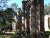 columnsinlightandshadow_small.jpg