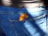 butterflypants_small.jpg