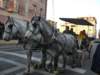 carriageride_small.jpg
