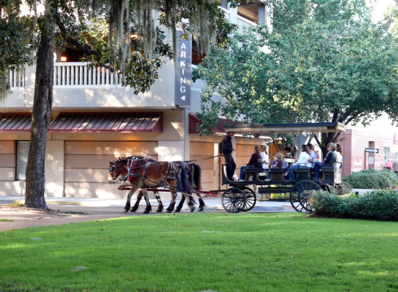 savannahcarriage.jpg